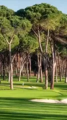 Cover for Dancing on the green at Olgiata Golf Clubβ³οΈππ»ββοΈ