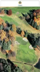 Cover for Fall in love with the beauty of Le Betulle