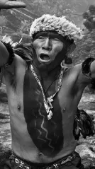 Cover for SEBASTIAO SALGADO Amazonia