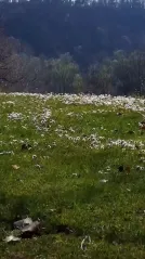 Cover for 9 Holes at Golf Club Villa Paradiso