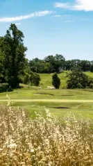 Cover for Green Passion