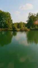 Cover for Grounded wonder at Royal Park I Roveri