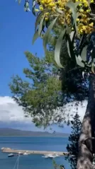 Cover for The gorgeous Corsini Botanical Garden is only 10 minutes from Argentario Golf&Wellness Resort!