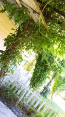 Cover for Experience Garda Hotel San Vigilio Golf π