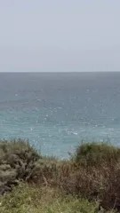 Cover for Every stay at Verdura Resort