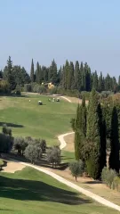 Cover for Gathering of champions at Ugolino