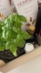 Cover for Landscapes, flavors, and enchanting places