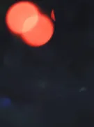 Cover for 2019 | Cerri, Pinna e Ragatzu alla festa di Natale dell'Attività di base