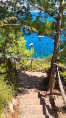 Cover for π΄πNot your typical Tuscany ππ΄