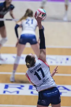 Cover for ❗KATE MVP!