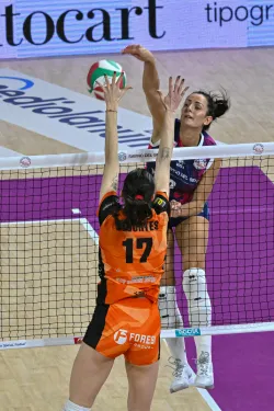 Cover for ❗CATERINA MVP!