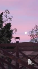 Cover for Piano City Milano 2024