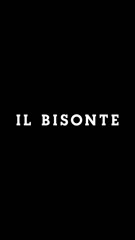 Cover for IL BISONTE