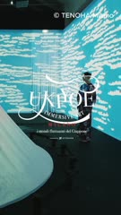 Cover for Ukiyoe: Immersive Art