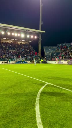 Cover for The wolf 🐺❤️💙