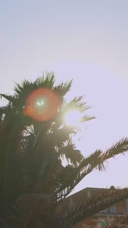 Cover for VS LUBE - GARA 2 SEMIFINALE PLAY OFF